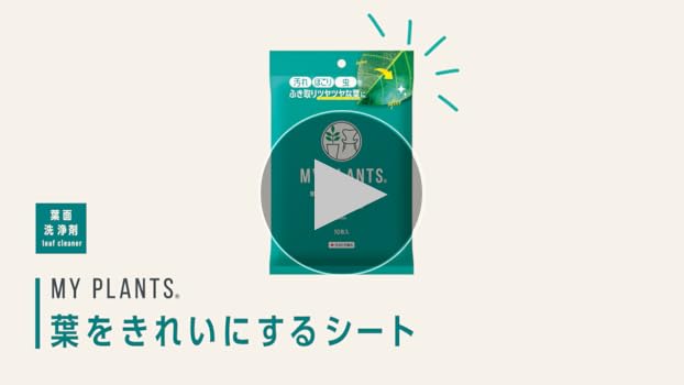 Amazon.co.jp: 住友化学園芸 葉面洗浄剤 MYPLANTS葉をきれいに